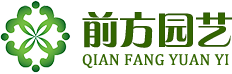 五色草立体花坛-五色草造型-菊花种苗造型-开封前方园艺有限公司-开封前方园艺有限公司