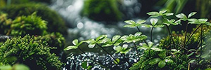 房贷计算器_房贷计算器2024年最新版_房贷利率计算器详细版(lwaemu.cn)