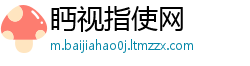 眄视指使网