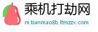 乘机打劫网