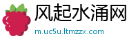 风起水涌网