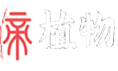 植物之家 - 多肉植物怎么养,多肉植物的养殖方法