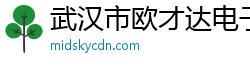 武汉市欧才达电子商务有限公司