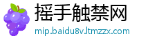 摇手触禁网