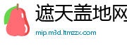 遮天盖地网