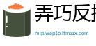 弄巧反拙网