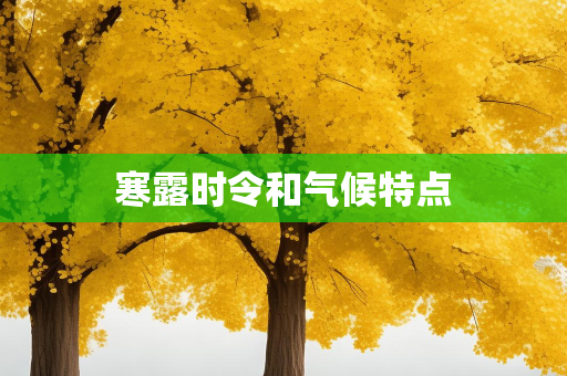 天气报告知识