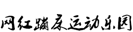 网红蹦床运动乐园_大型蹦床|小型蹦床|室内蹦床|发泄蹦床