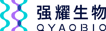 多肽合成_多肽定制_抗体制备_蛋白表达_引物合成_基因合成-强耀生物