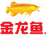 柯尼科官方网站-全球领先的安全技术解决方案供应商