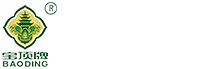 重庆市鼎翔农业发展有限公司-专注于大足特产宝顶牌冬菜40年