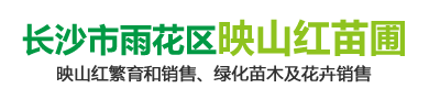 长沙映山红|长沙羊踯躅|长沙鹿角杜鹃-长沙市雨花区映山红苗圃