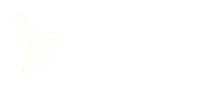 东阳做网站_东阳做小程序_百度SEO推广-【东阳市蜂窝在线网络】