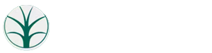 淮安梦晨木业制品有限公司-淮安梦晨木业制品有限公司