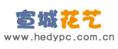 宣城花店-宣城鲜花-宣城鲜花速递|宣城花香阁鲜花坊