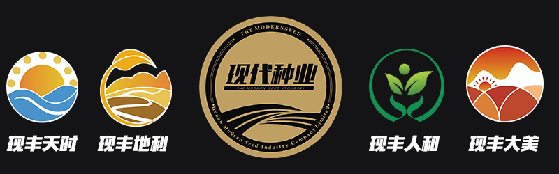 玉米种子_小麦种子_高科技种业企业-河南省现代种业有限公司