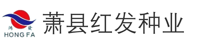 辣椒种子_尖椒种子_甜椒种子_泡椒种子-安徽省萧县红发种业有限公司