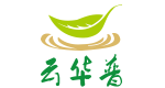 传统正味普洱茶厂家-勐海华普茶业有限公司