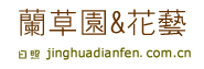 日照订花,日照网上送花,日照花店|日照兰草缘鲜花店