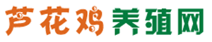 芦花鸡 -  芦花鸡养殖网 - 芦花鸡保种场 - 山东金秋农牧科技股份有限公司