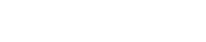罗新国际货运代理_供应链服务商_跨境物流_国际空运海运