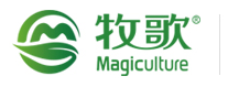 铁皮石斛种植基地-铁皮石斛种苗批发价格-德清牧歌生态农业有限公司