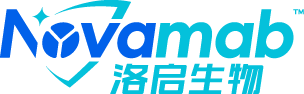 首页-洛启生物