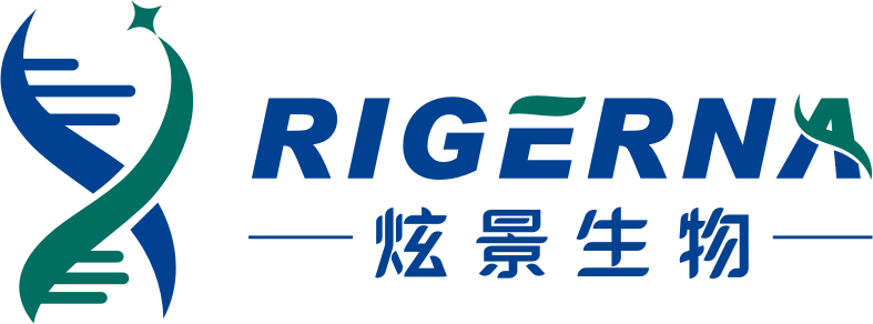 炫景生物 Rigerna Therapeutics-