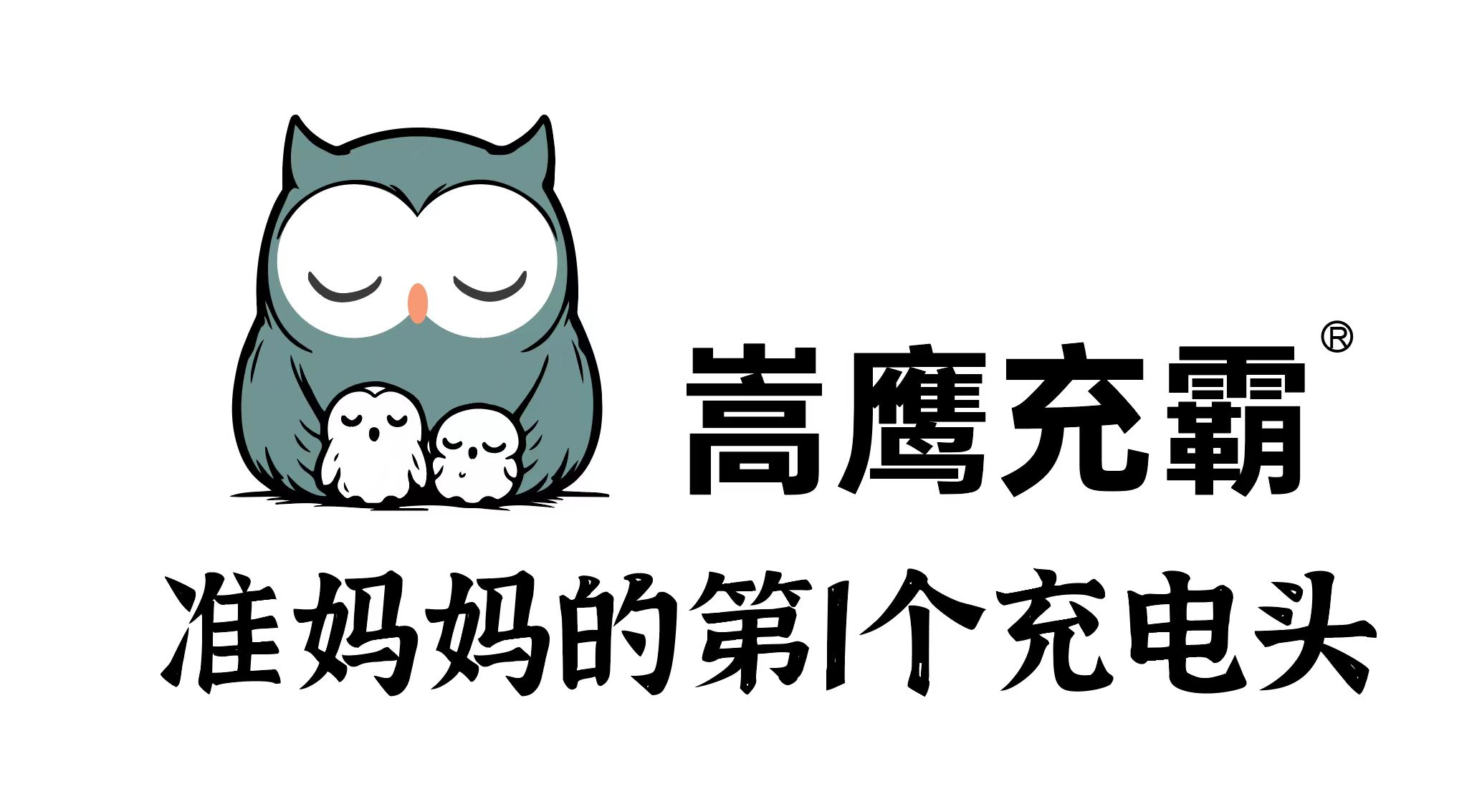 深圳市嵩鹰科技有限公司