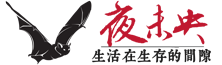 夜未央 | 记录生活感悟、及用经济学视角解读社会