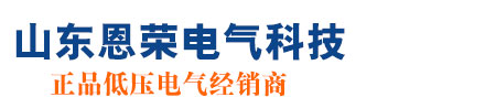 山东恩荣电气科技有限公司 - 山东恩荣电气科技有限公司