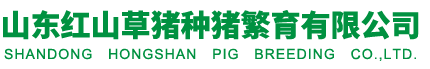 山东红山草猪种猪繁育有限公司-红山草猪种猪繁育基地山东红山草猪 种猪繁育 养殖基地