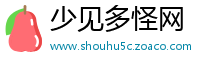 少见多怪网