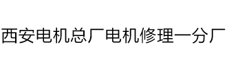 西安大型电机维修厂—电机修理_西安修理电机-西安西玛电机维修