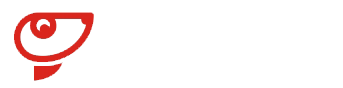 深圳市算王软件有限公司