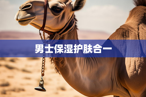 小达网