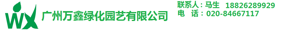 广州万鑫绿植墙有限公司 18826289929  佛山植物墙 佛山绿植墙 广州假草坪厂家 番禺绿植物 广州万鑫绿植墙  广州植物墙