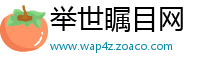 举世瞩目网