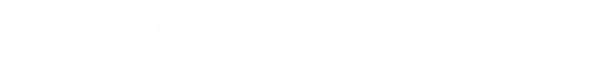 芜湖代理记账_芜湖代理记账公司_芜湖代账公司-芜湖旺启企业孵化有限公司