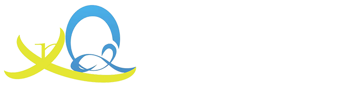 深圳市芯齐贸易有限公司官网
