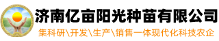 西红柿苗_黄瓜苗_甜瓜苗-济南亿亩阳光种苗有限公司