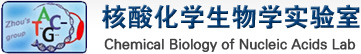 核酸化学生物学实验室-周翔课题组
