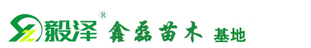 隆德县鑫磊苗木专业合作社