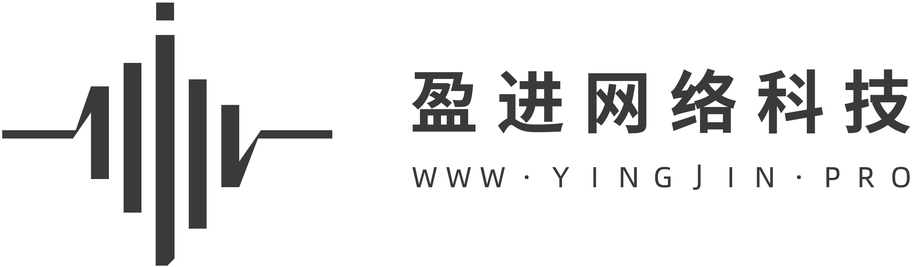 盈进网络科技-全网价值数字运营综合服务商