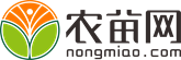 榛子树价格_榛子树图片-农苗网